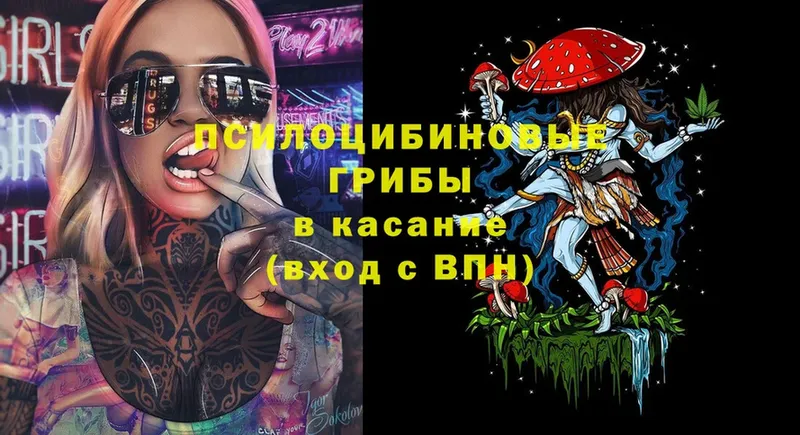 Псилоцибиновые грибы Psilocybe  как найти закладки  площадка состав  Дубовка 